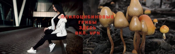 ALPHA PVP Алексеевка