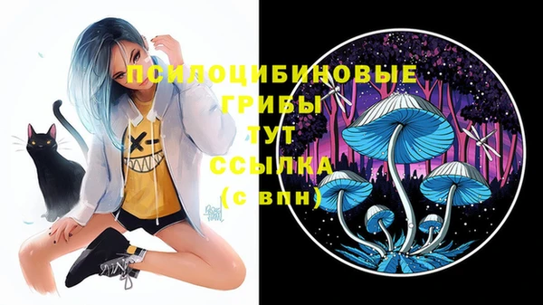 тгк Новозыбков