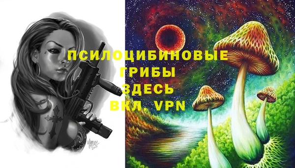 крисы Алексин