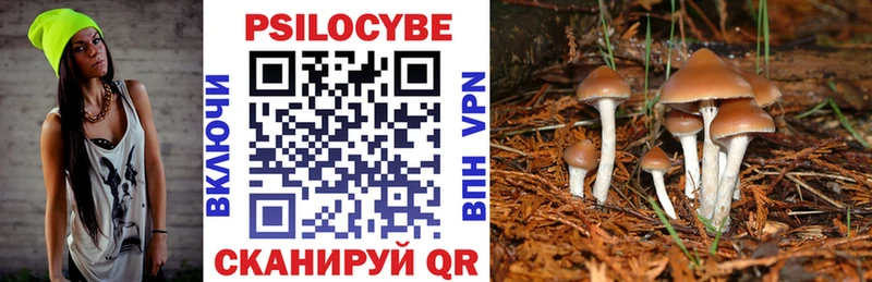 Псилоцибиновые грибы Magic Shrooms  где найти   Саянск 